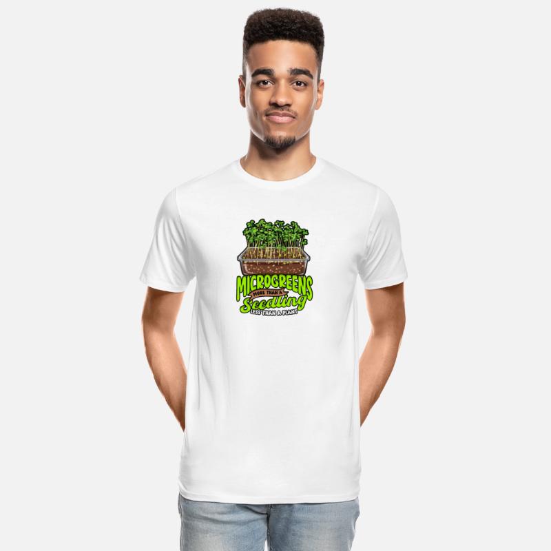 Microgreen Microgreens Sprouts Vegetables Plants