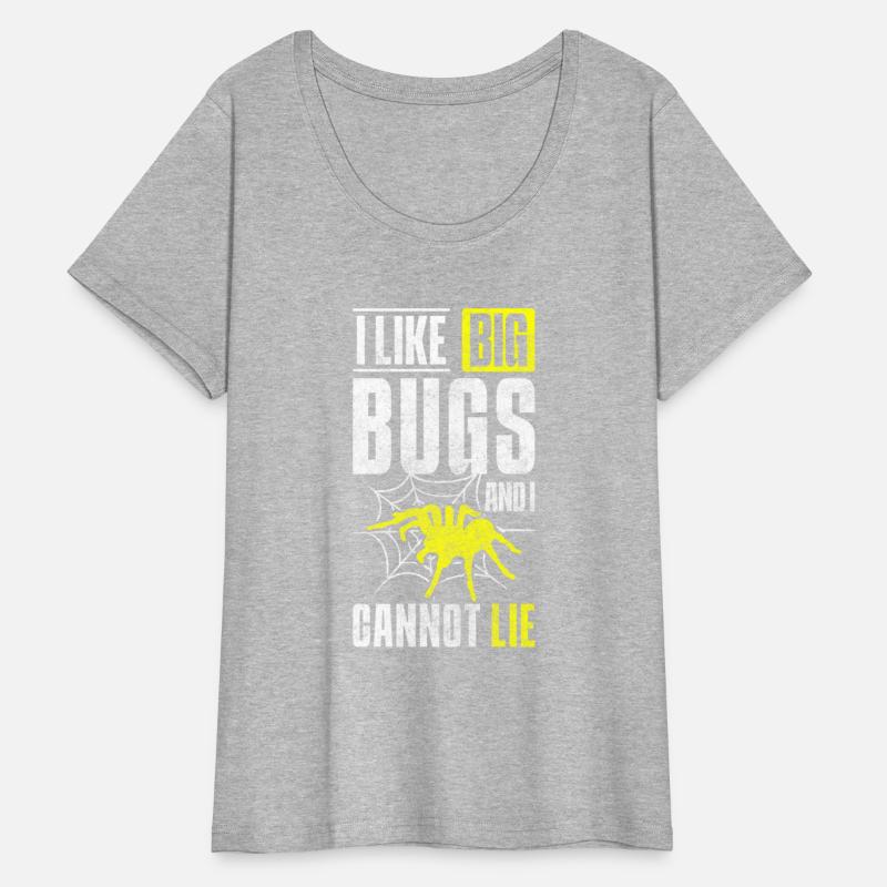 Spider Web Arachnids Prey Terrarium