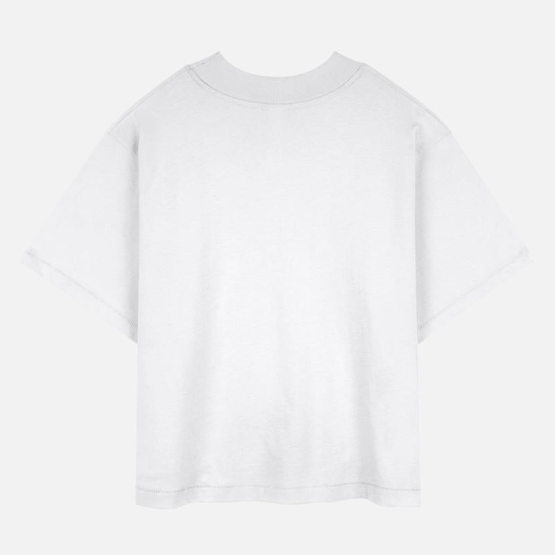 Monochrome Mountain Reflection