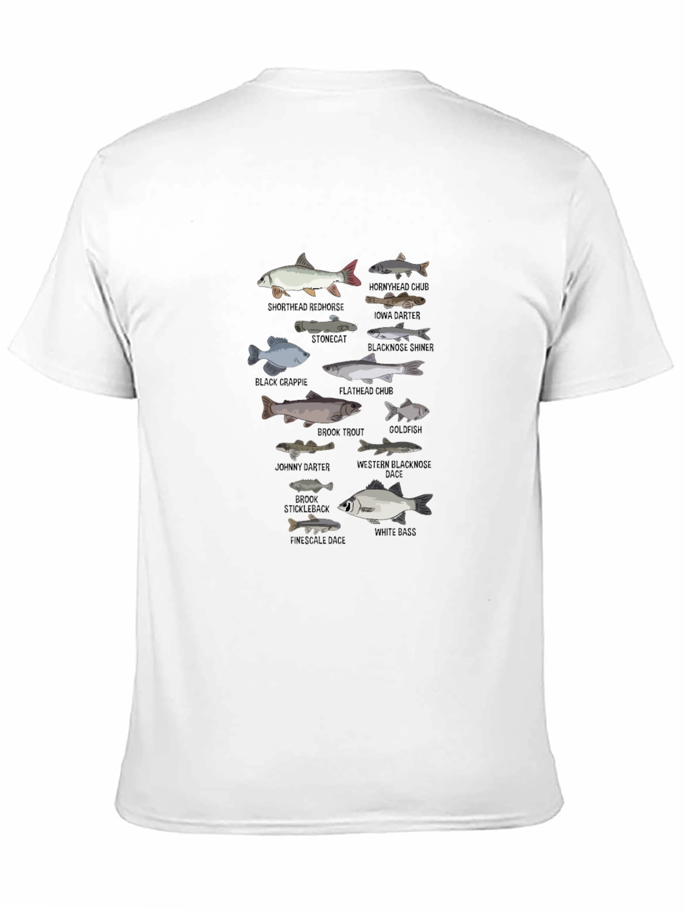 Fish Species Graphic T-Shirt