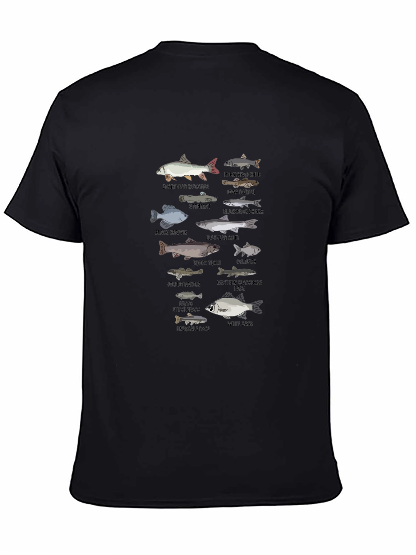 Fish Species Graphic T-Shirt