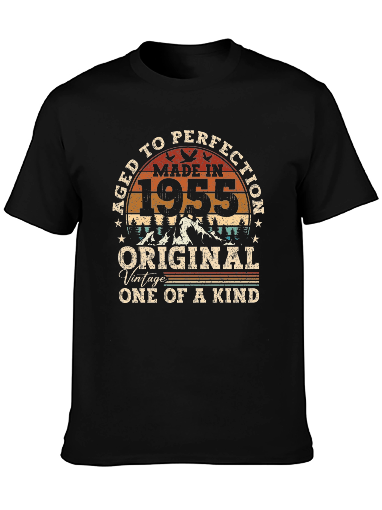 Aged To Perfection 1955 Birthday T-Shirt