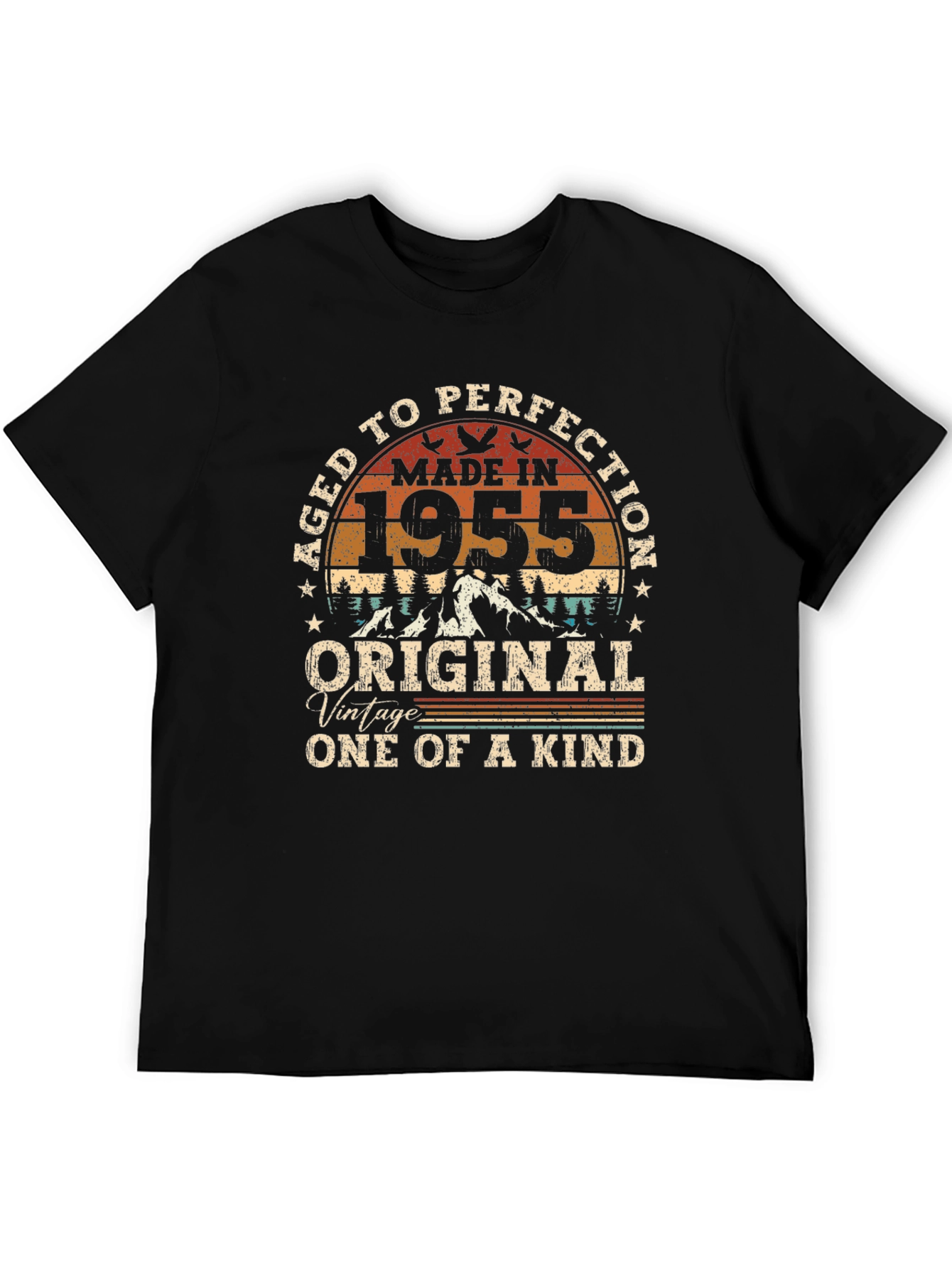 Aged To Perfection 1955 Birthday T-Shirt