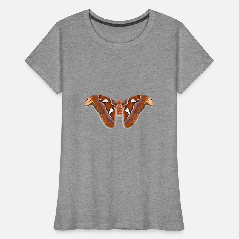 Atlas Moth (TEST)