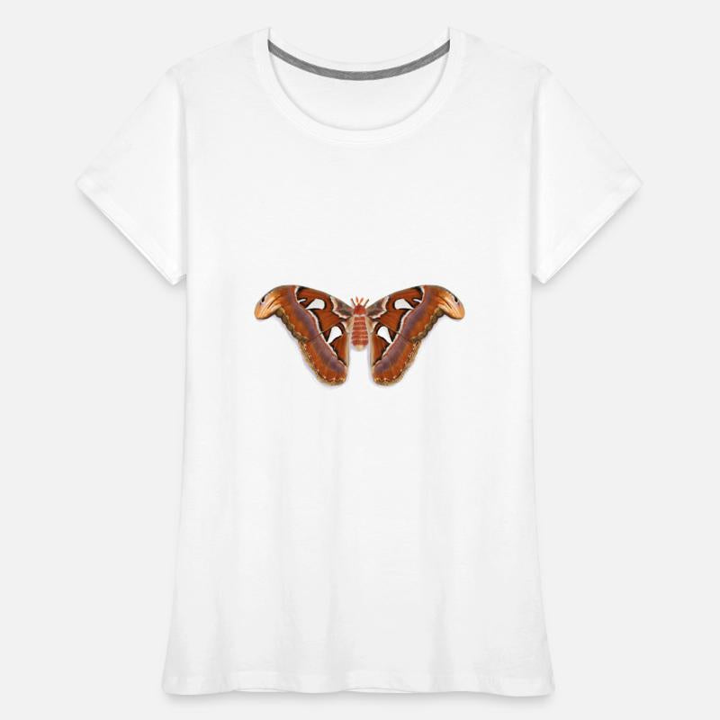 Atlas Moth (TEST)