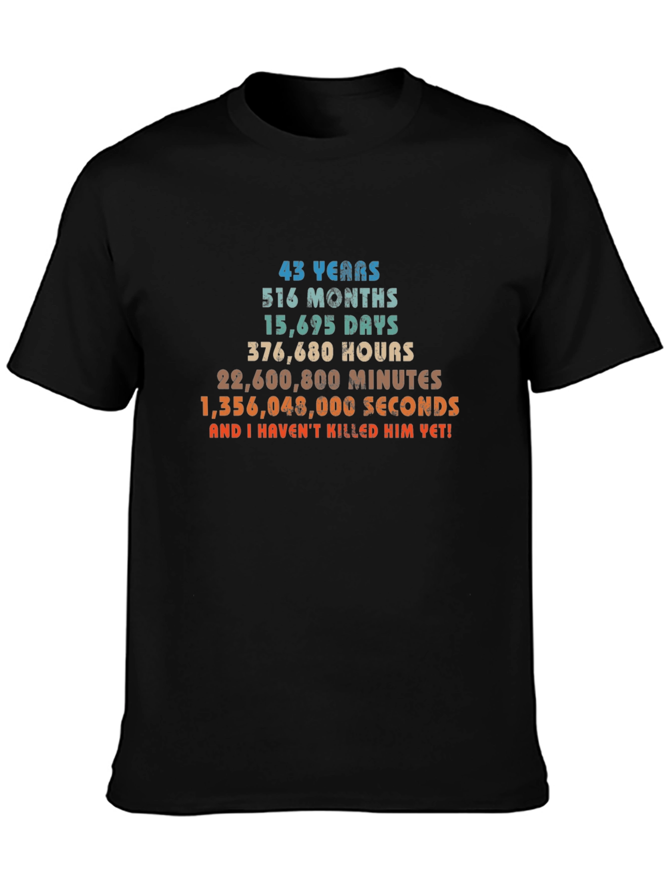 43rd Birthday T-Shirt - Funny Gift for Him