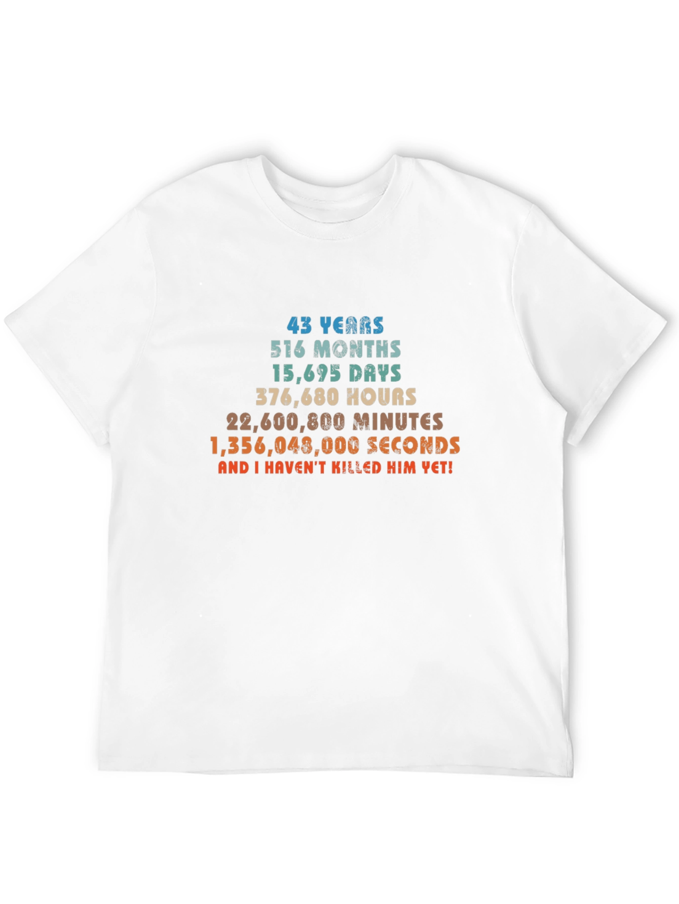 43rd Birthday T-Shirt - Funny Gift for Him