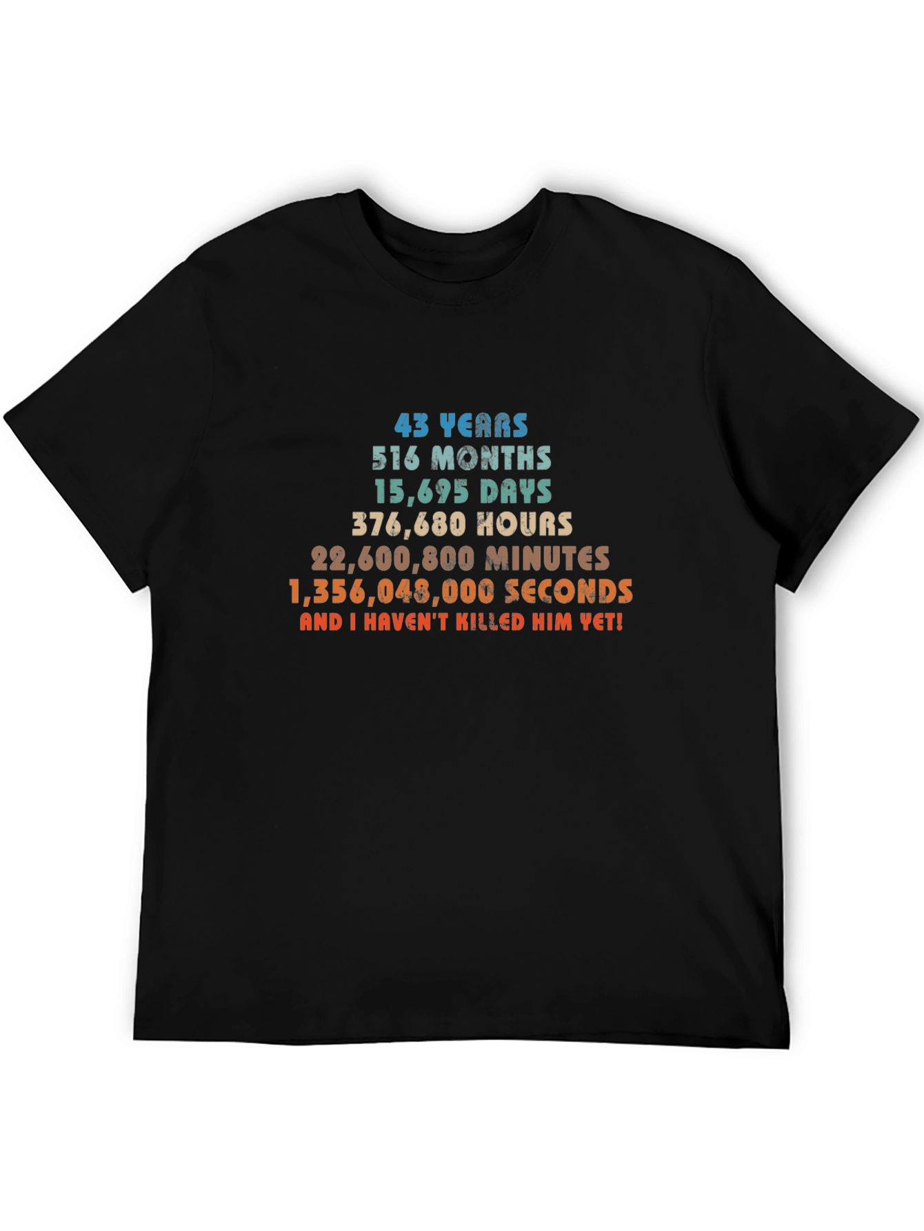 43rd Birthday T-Shirt - Funny Gift for Him