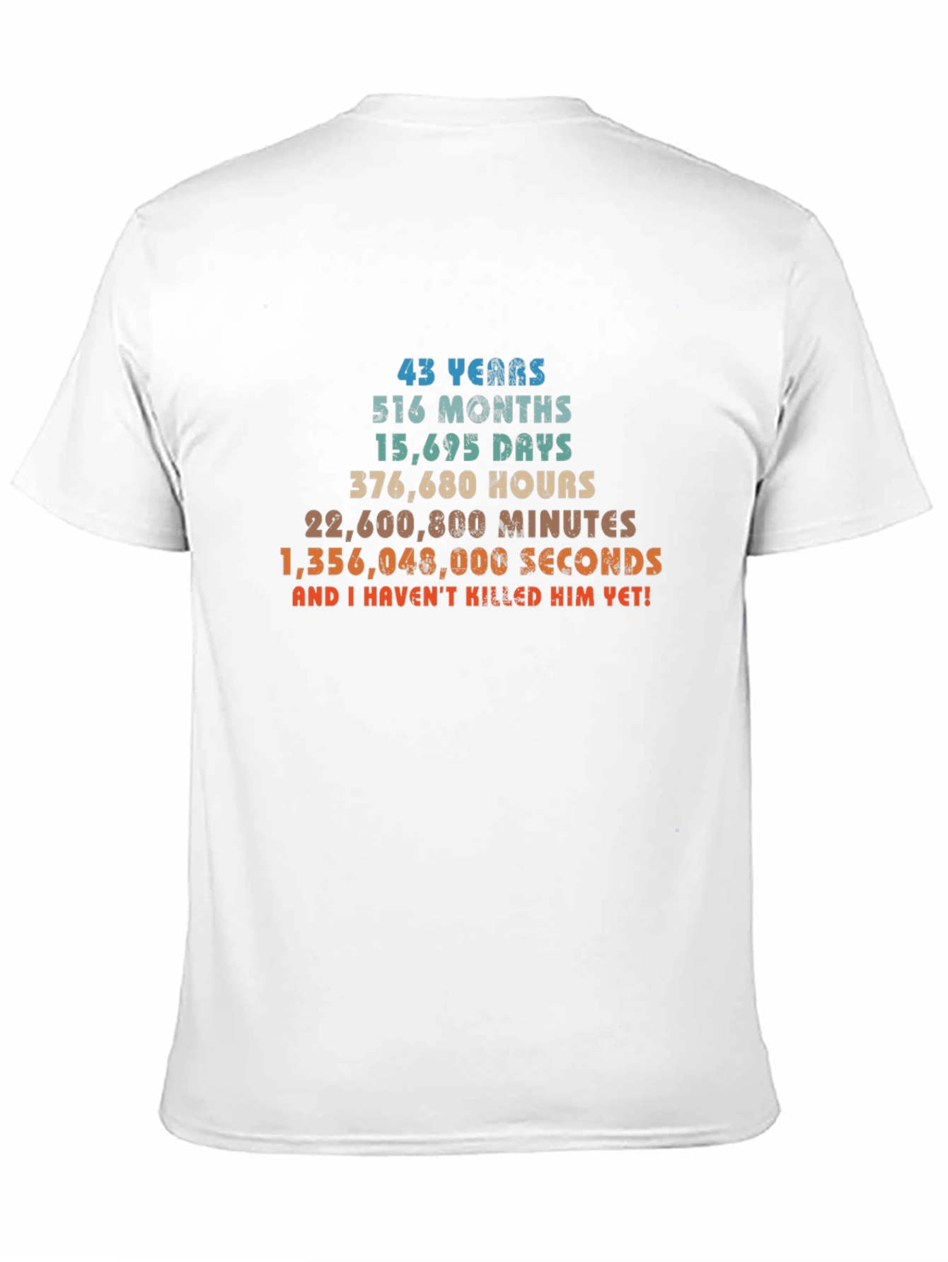 43rd Birthday T-Shirt - Funny Gift for Him