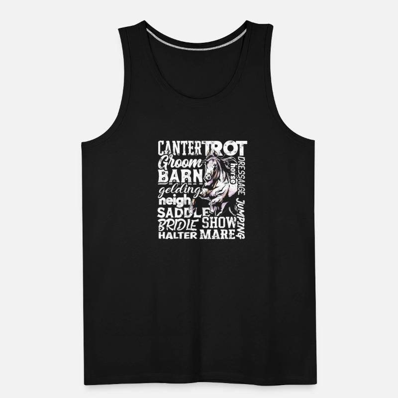 Cantertrot Groom Barn Dressage Neigh Horse