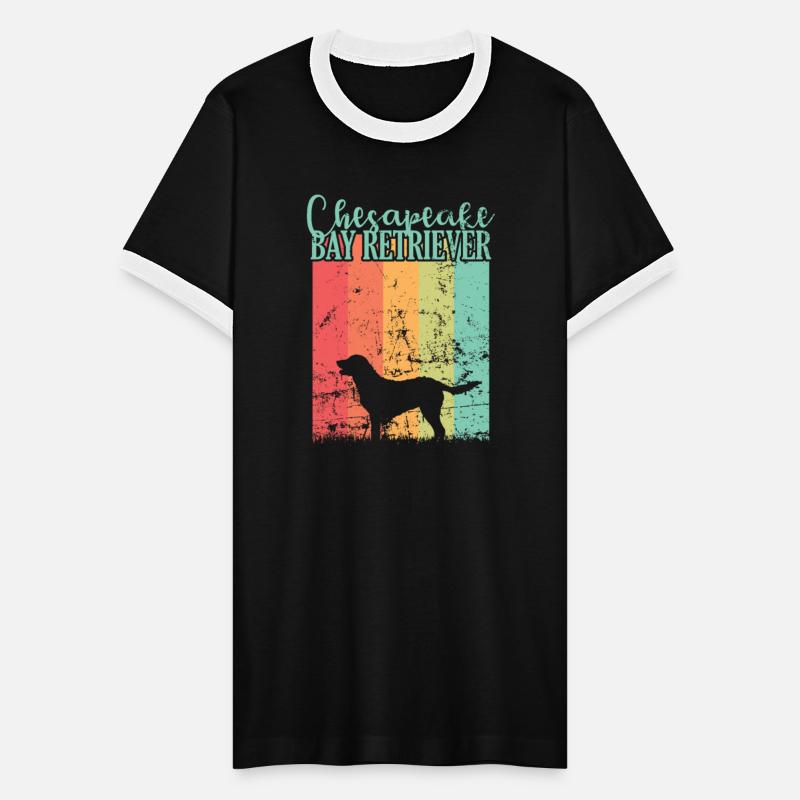 Dog Chesapeake Bay Retriever Pet