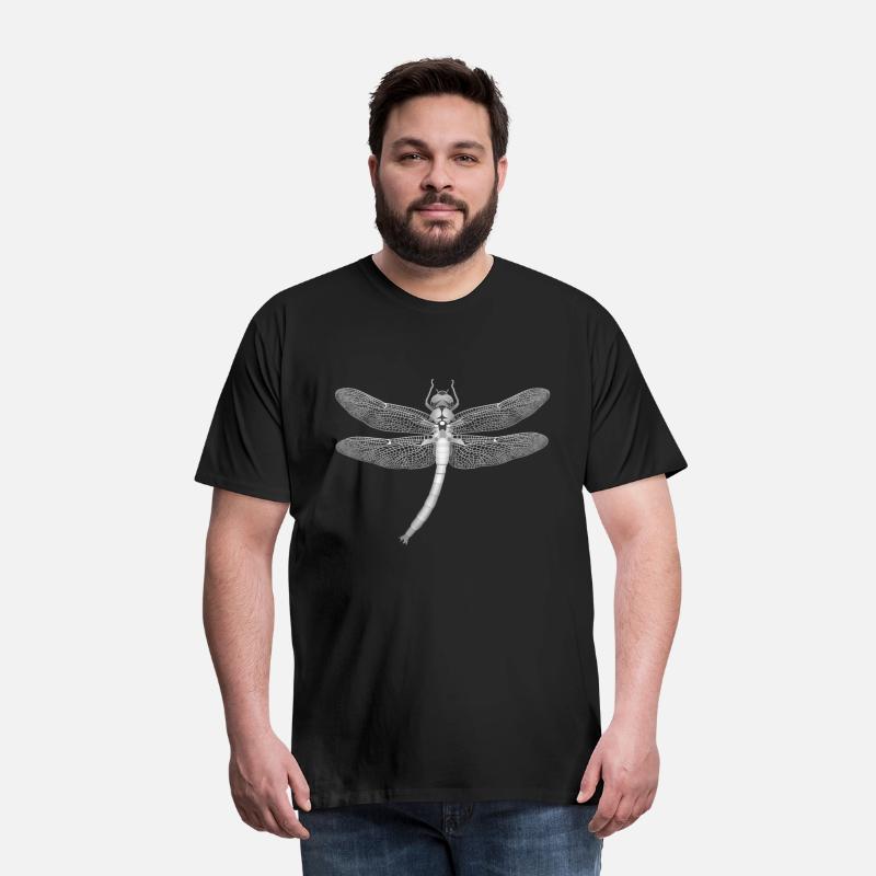Dragonfly Insect Motif Wings Insects Dragonflies