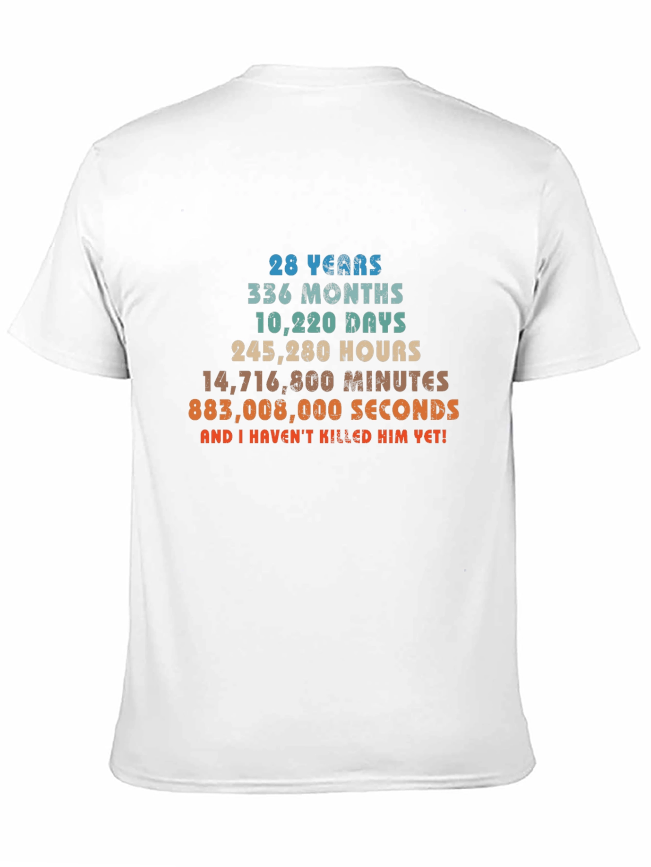 28 Years Anniversary Funny T-Shirt