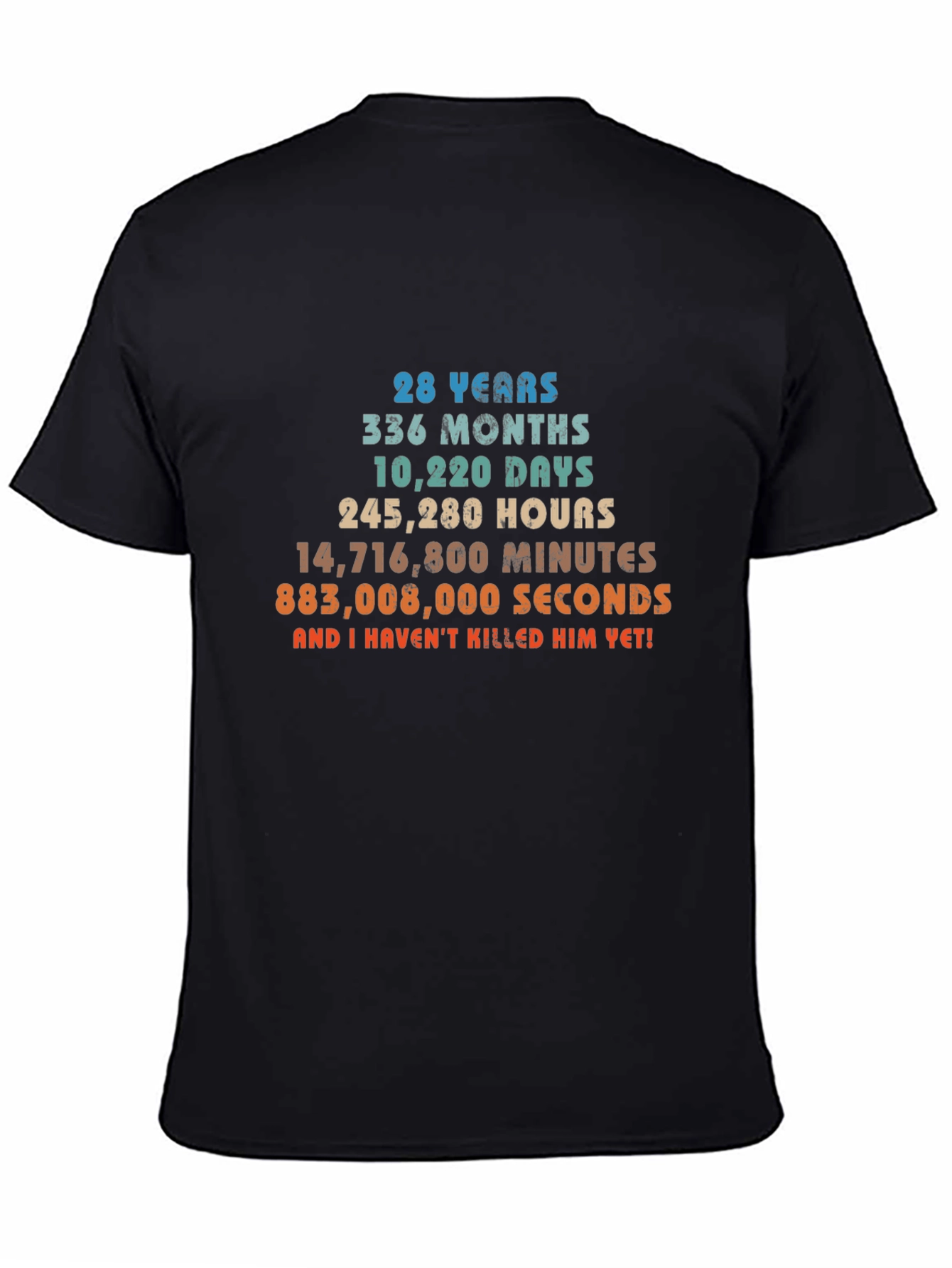 28 Years Anniversary Funny T-Shirt