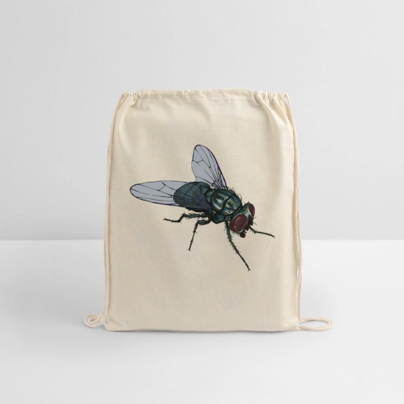 Fly Common House Fly Insect