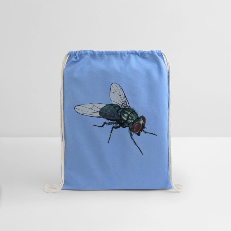 Fly Common House Fly Insect