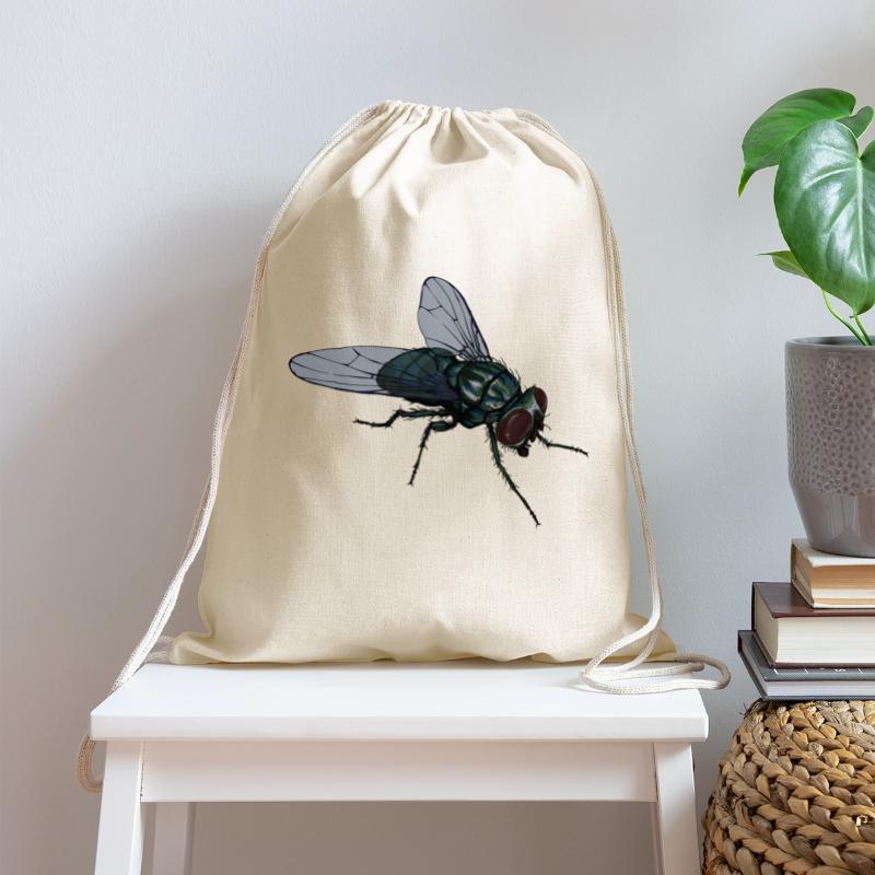 Fly Common House Fly Insect