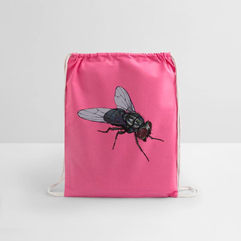 Fly Common House Fly Insect