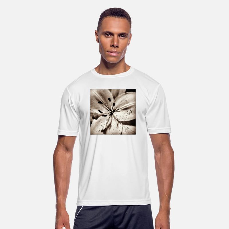 Lily , flower , sepia , beautiful , pretty , photo