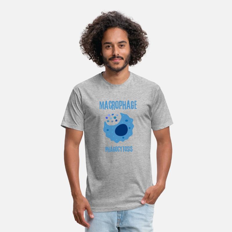 Macrophage Phagocystosis