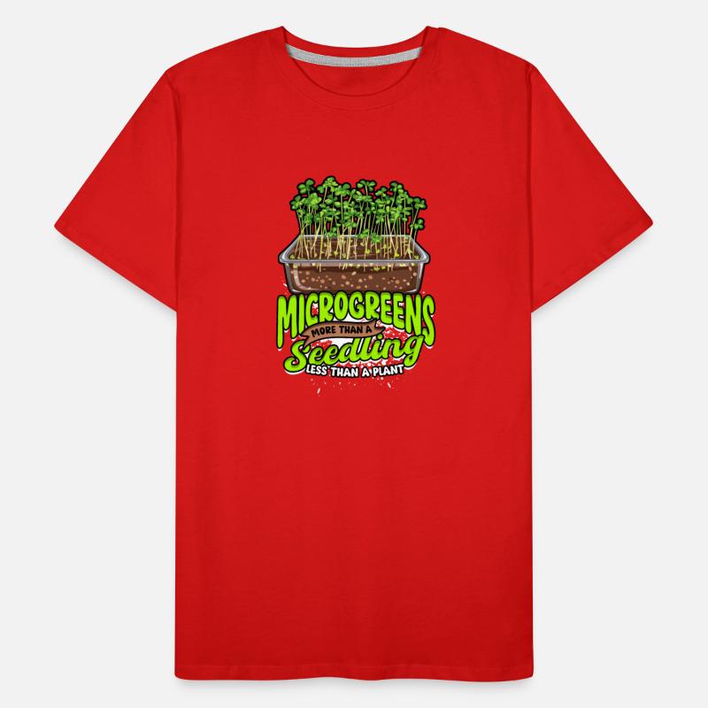 Microgreen Microgreens Sprouts Vegetables Plants