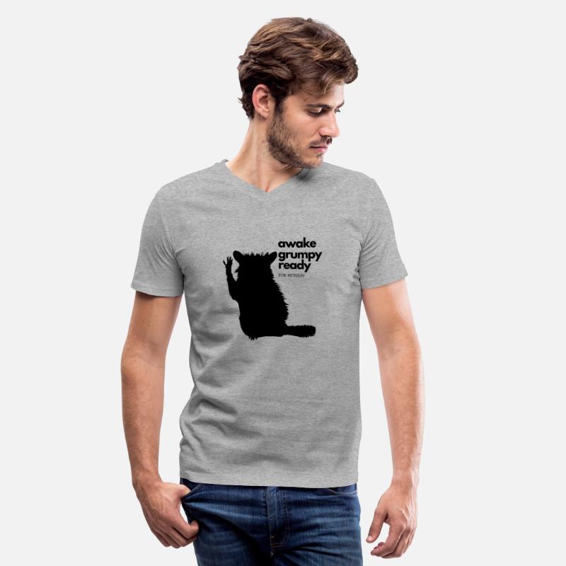 Moody Raccoon Monday