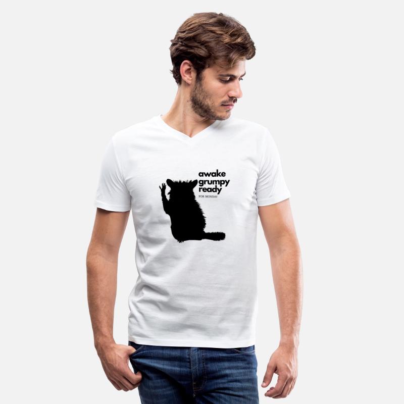 Moody Raccoon Monday