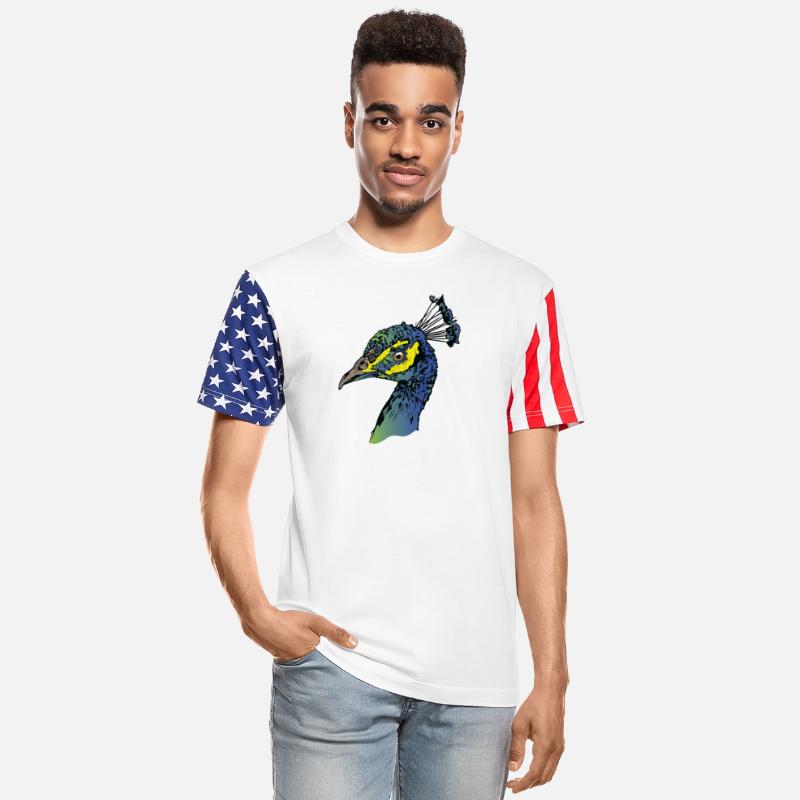 Peacock Bird Colors Animal Park