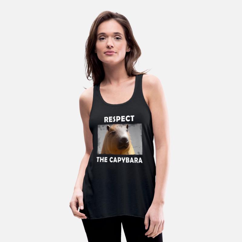 Rect The Capybara Rodent Animal