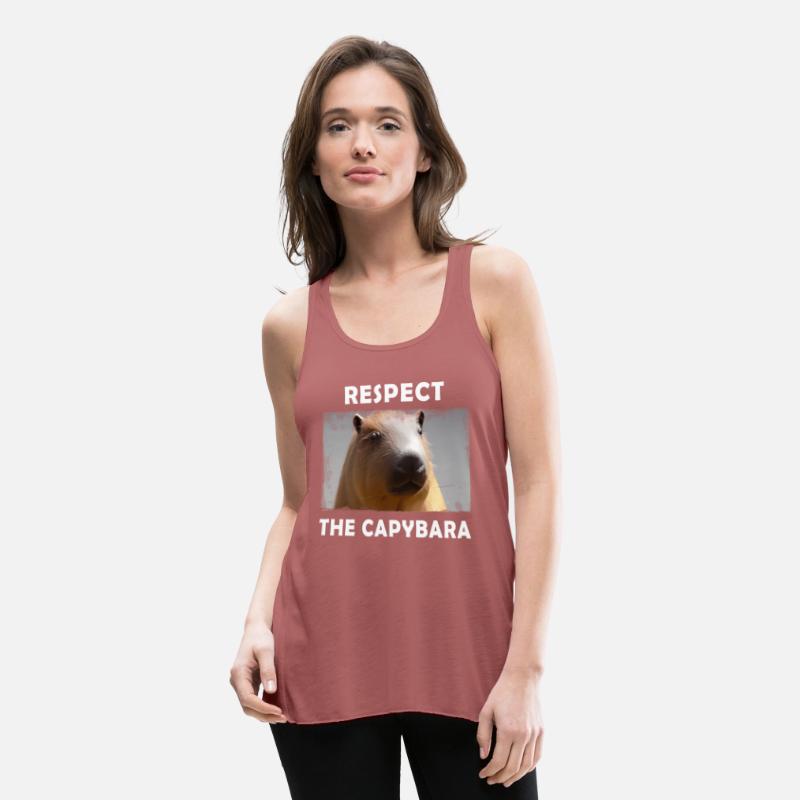 Rect The Capybara Rodent Animal