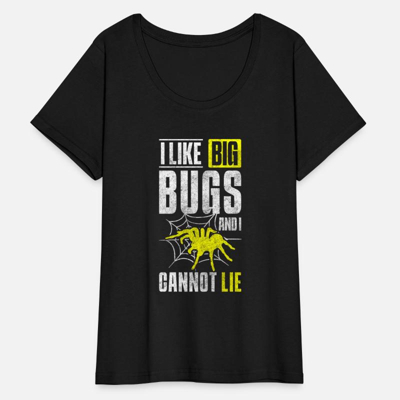 Spider Web Arachnids Prey Terrarium