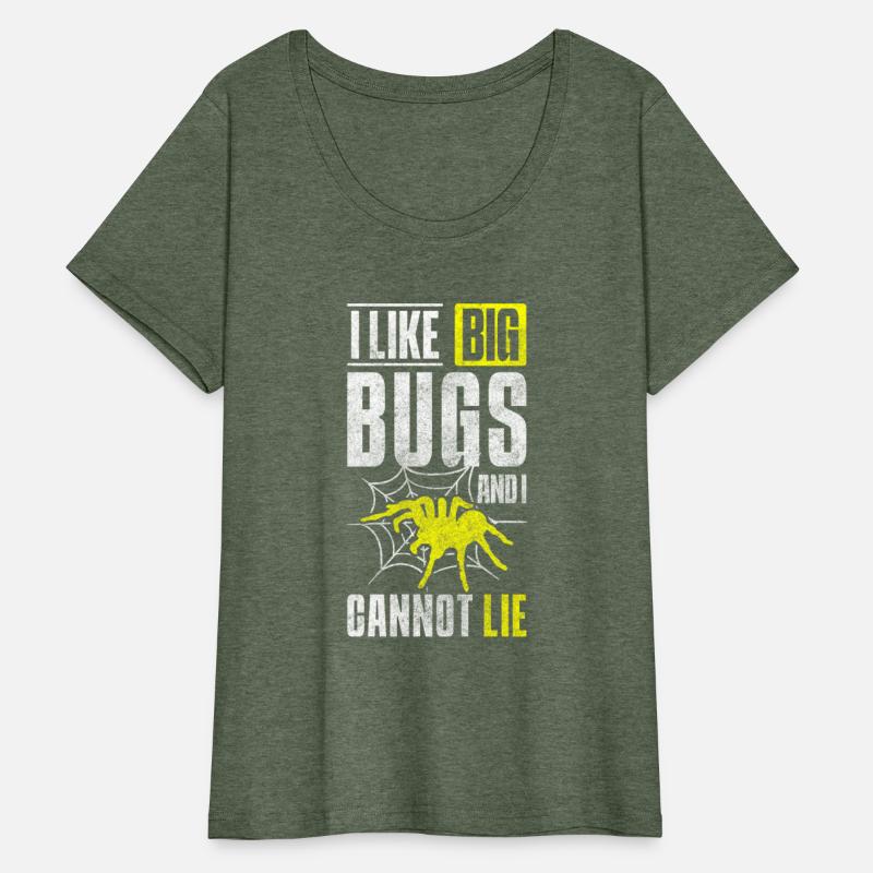 Spider Web Arachnids Prey Terrarium