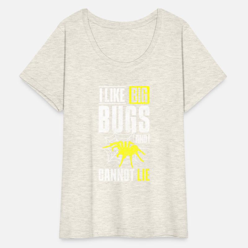 Spider Web Arachnids Prey Terrarium