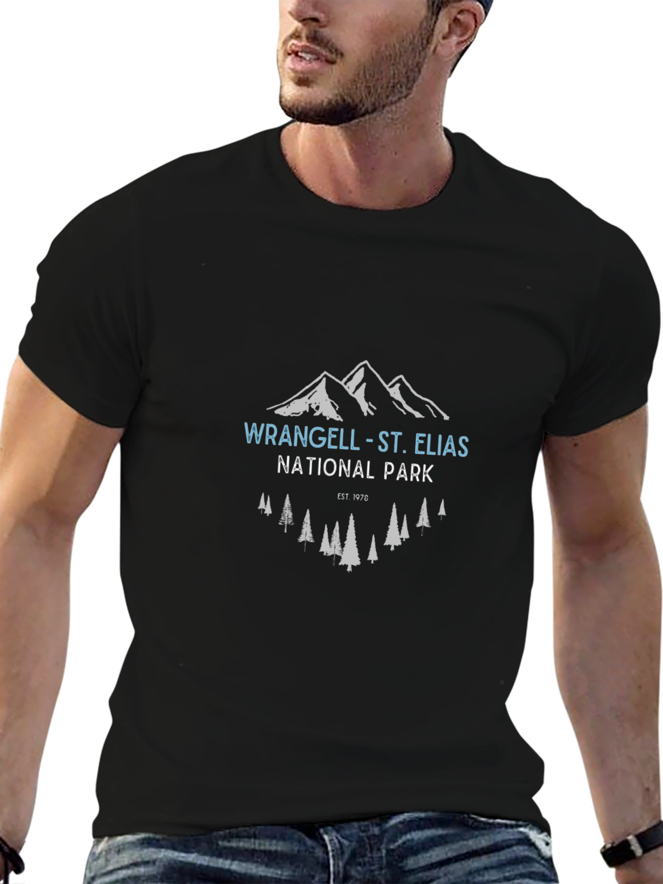 Wrangell-St. Elias National Park Black T-Shirt