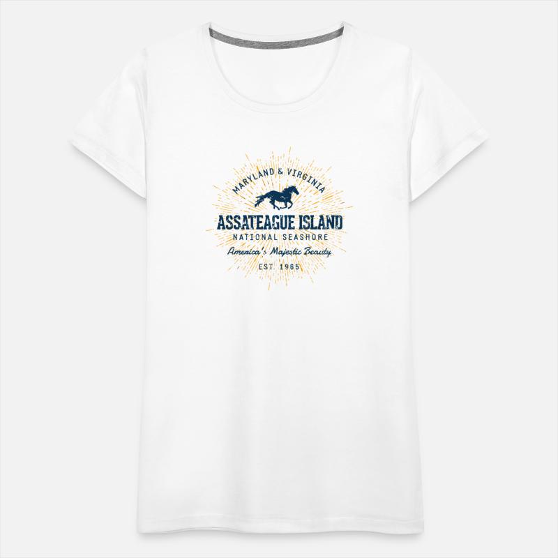 Vintage Retro Style Assateague Island