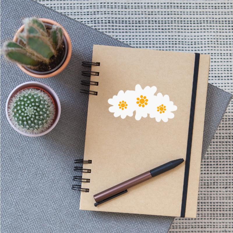 White Alps Edelweiss Flower Mountain Hiking Flower